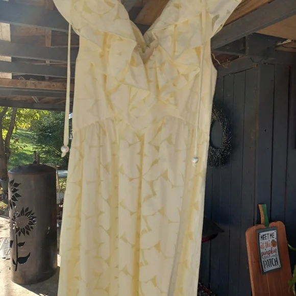 Lilly Pulitzer Ritamarie Ruffle Dress - Picture 2 of 3